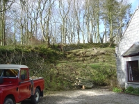  job done - four trees down safely, a full load of logs cut and split in the logrover and some lengths left for later